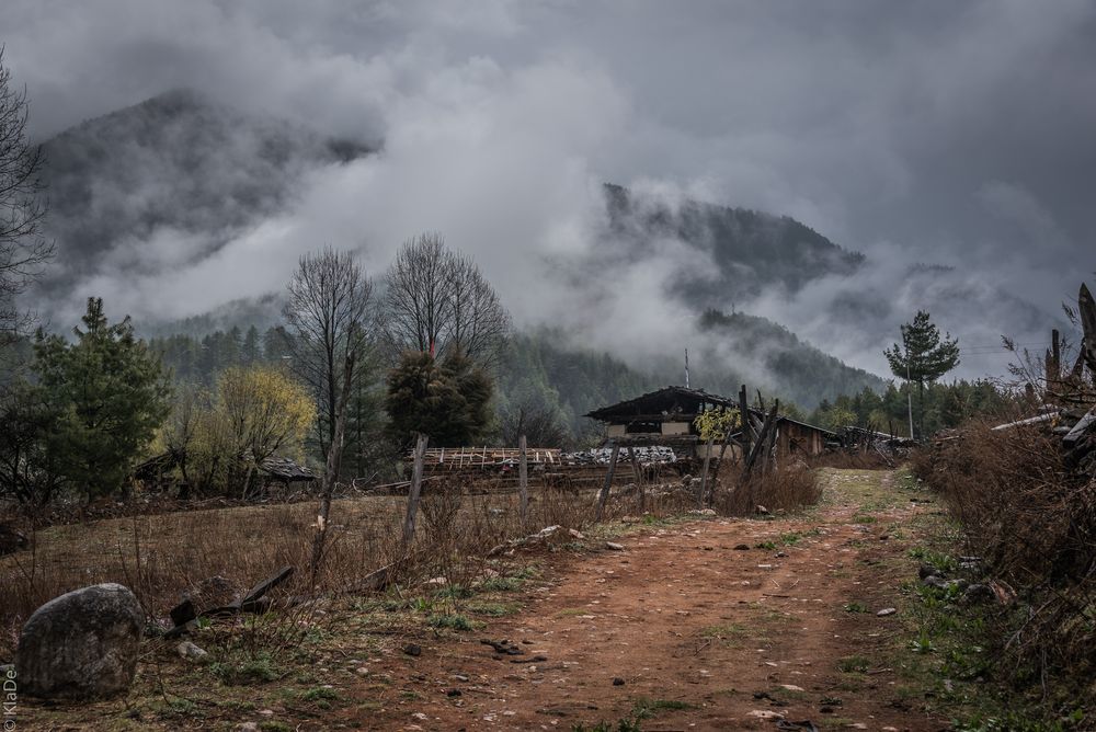 Bhutan - Haa-Tal - Regen am nächsten Morgen