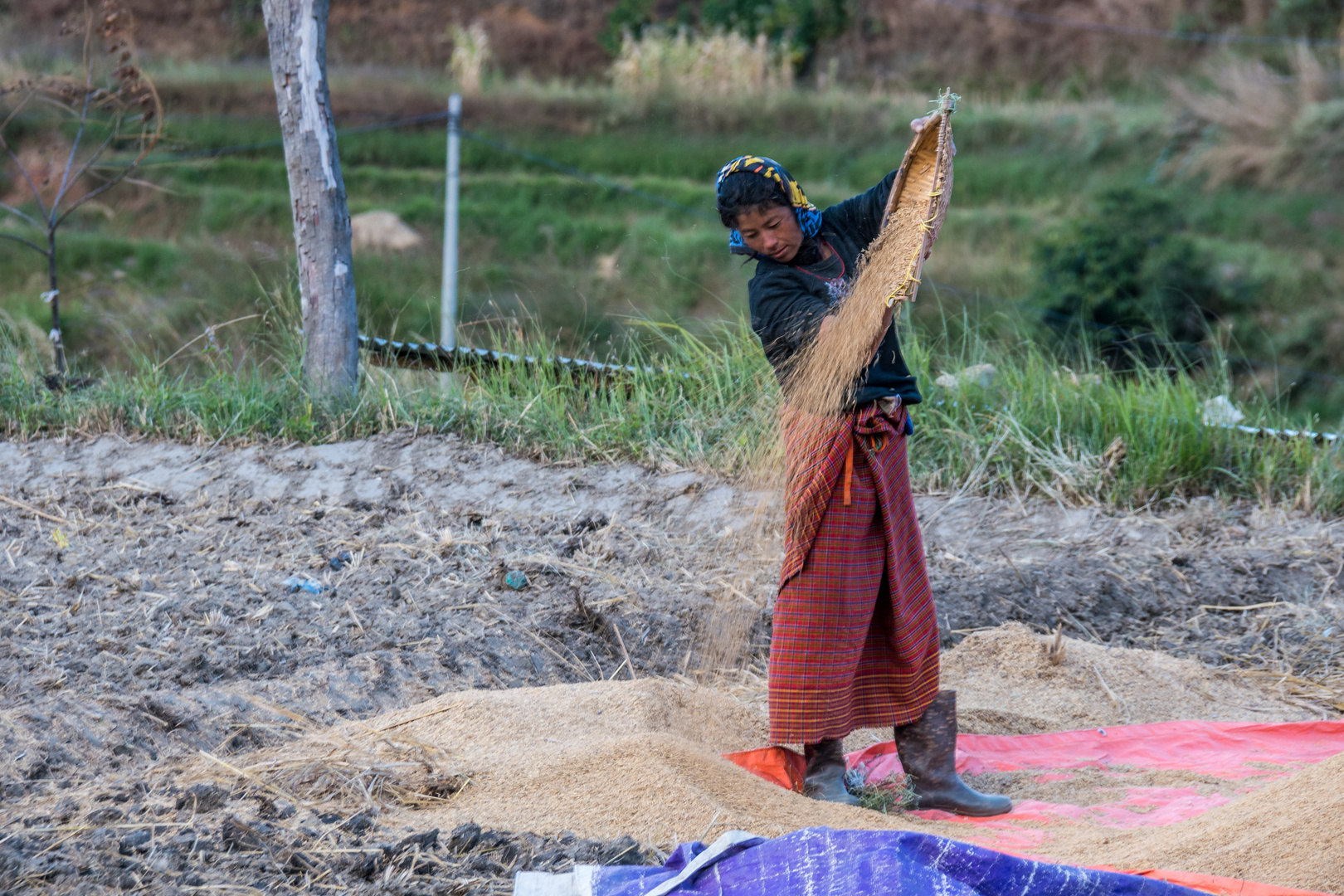 Bhutan - Hier trennt sich Spreu vom Weizen