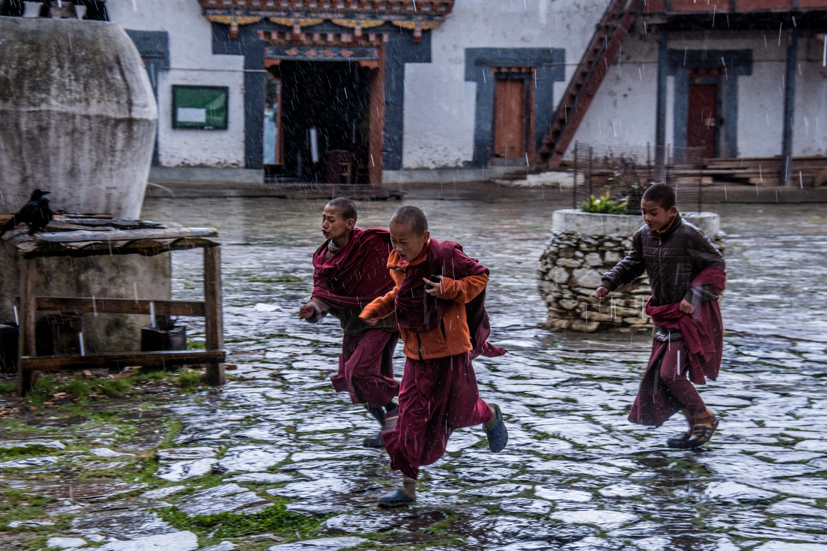 Bhutan, Junge Mönche auf der Flucht vor dem Regen