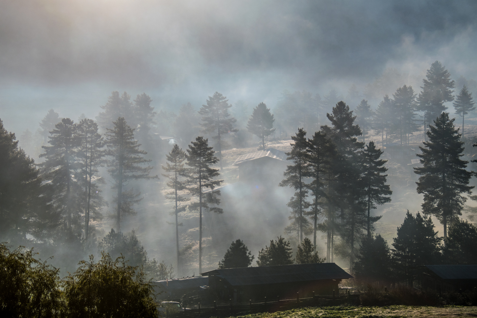 Bhutan, Morgennebel im Tal der Kraniche