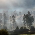 Bhutan, Morgennebel im Tal der Kraniche