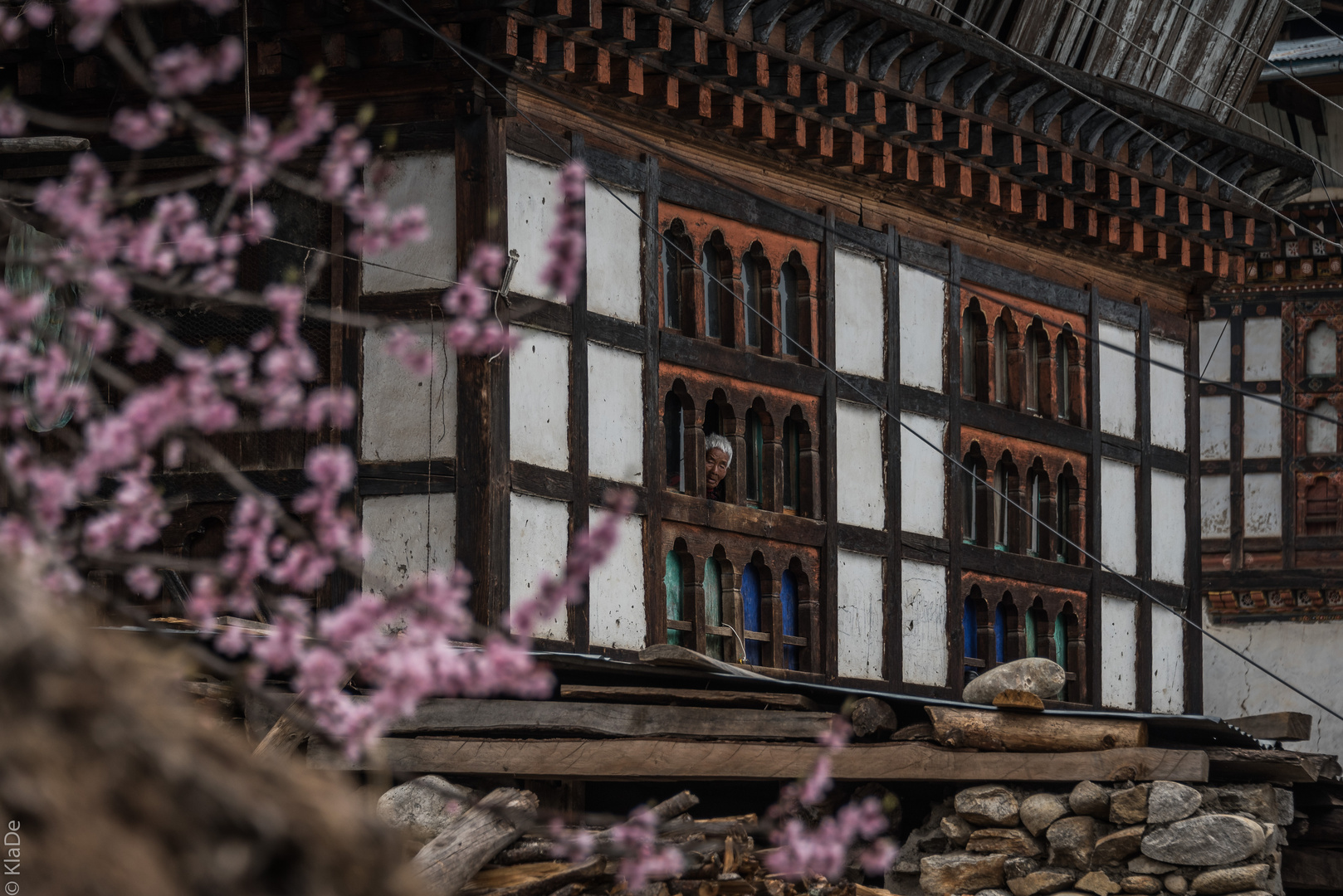 Bhutan - Paro - Der Frühling ist da 