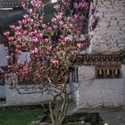 Bhutan - Paro - Kyichu Lhakhang 