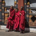 Bhutan - Paro - Rinpung Dzong - Mönche