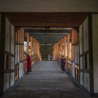 Bhutan - Punakha - Die Brücke über den Mo-Chu