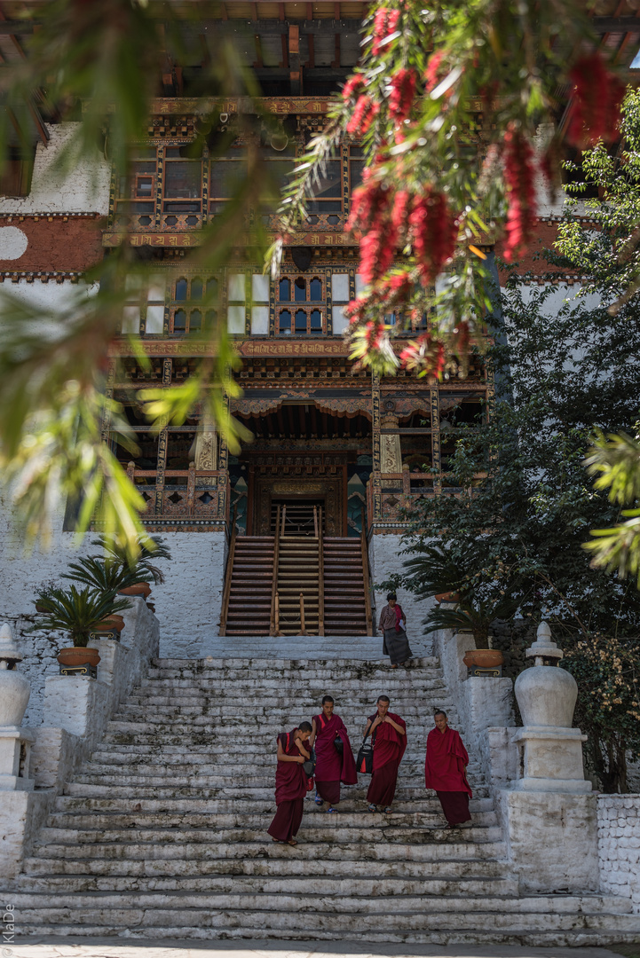 Bhutan - Punakha - Pungtang Dechen Photrang Dzong - Eingang