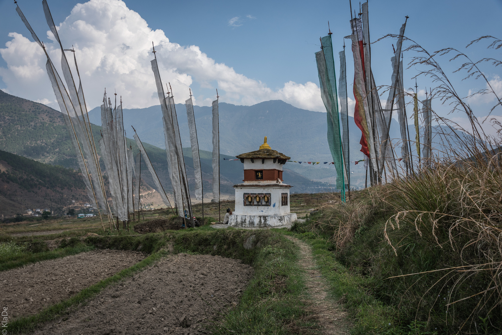 Bhutan -  Punakha - Teoprongchu - Reisfelder