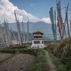 Bhutan -  Punakha - Teoprongchu - Reisfelder