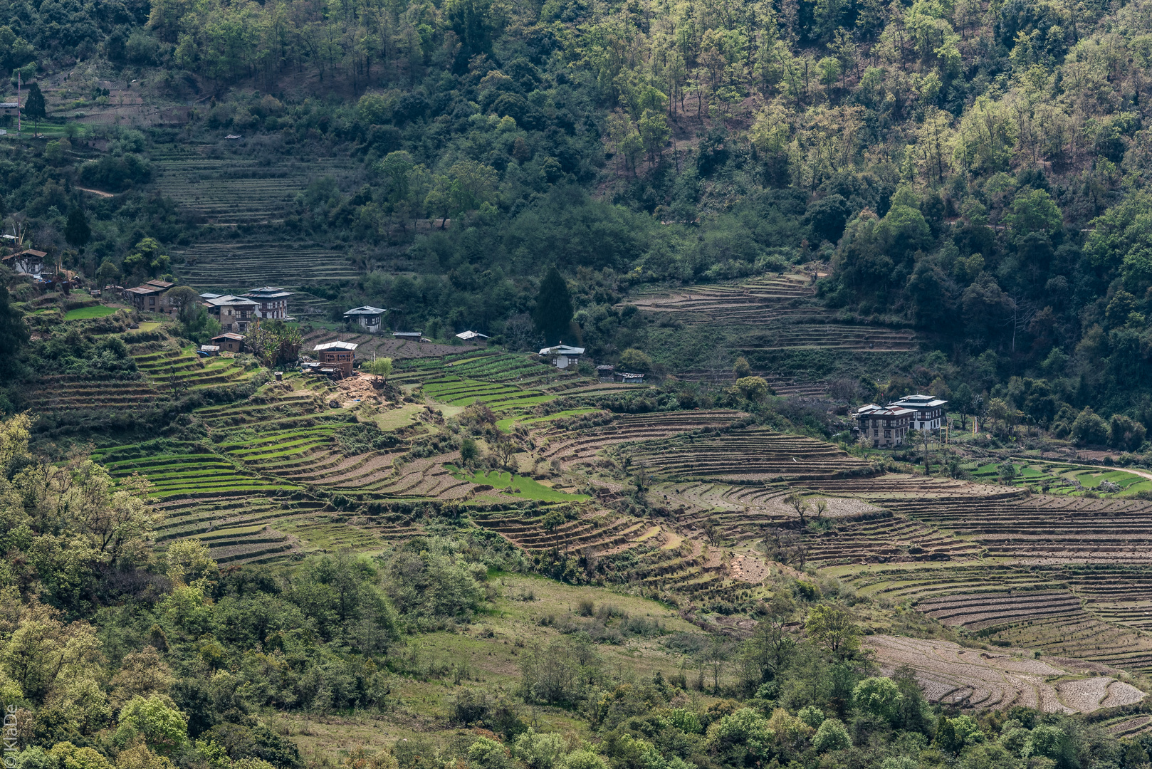 Bhutan - Shengana - Bergtal