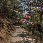 Bhutan - Taktshang - Der Weg auf der Höhe  