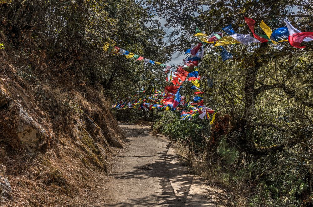 Bhutan - Taktshang - Der Weg auf der Höhe  