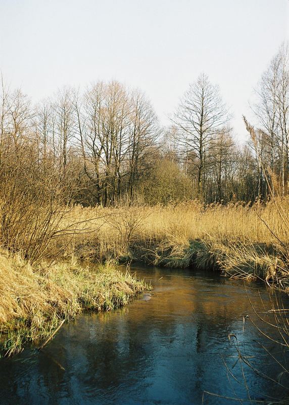 Biala Przemsza River