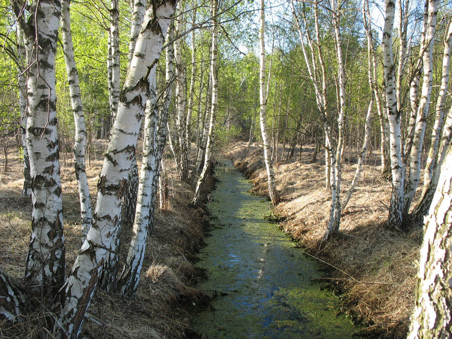 Bialka1 / Lublin