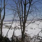 bianche colline piemontesi