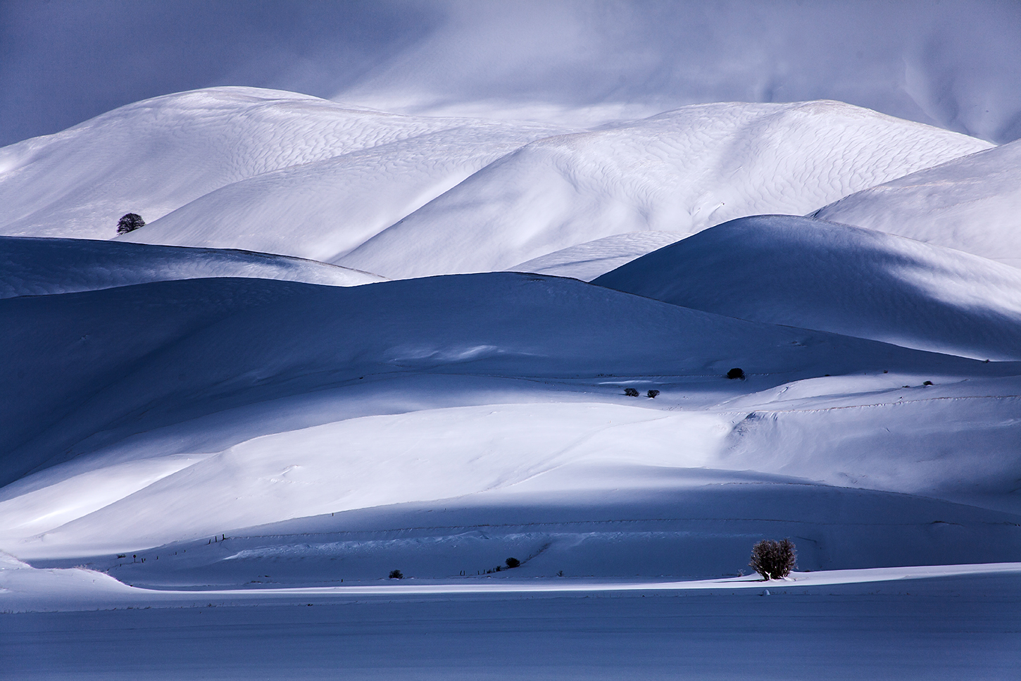 " BIANCHE SINUOSITA' "