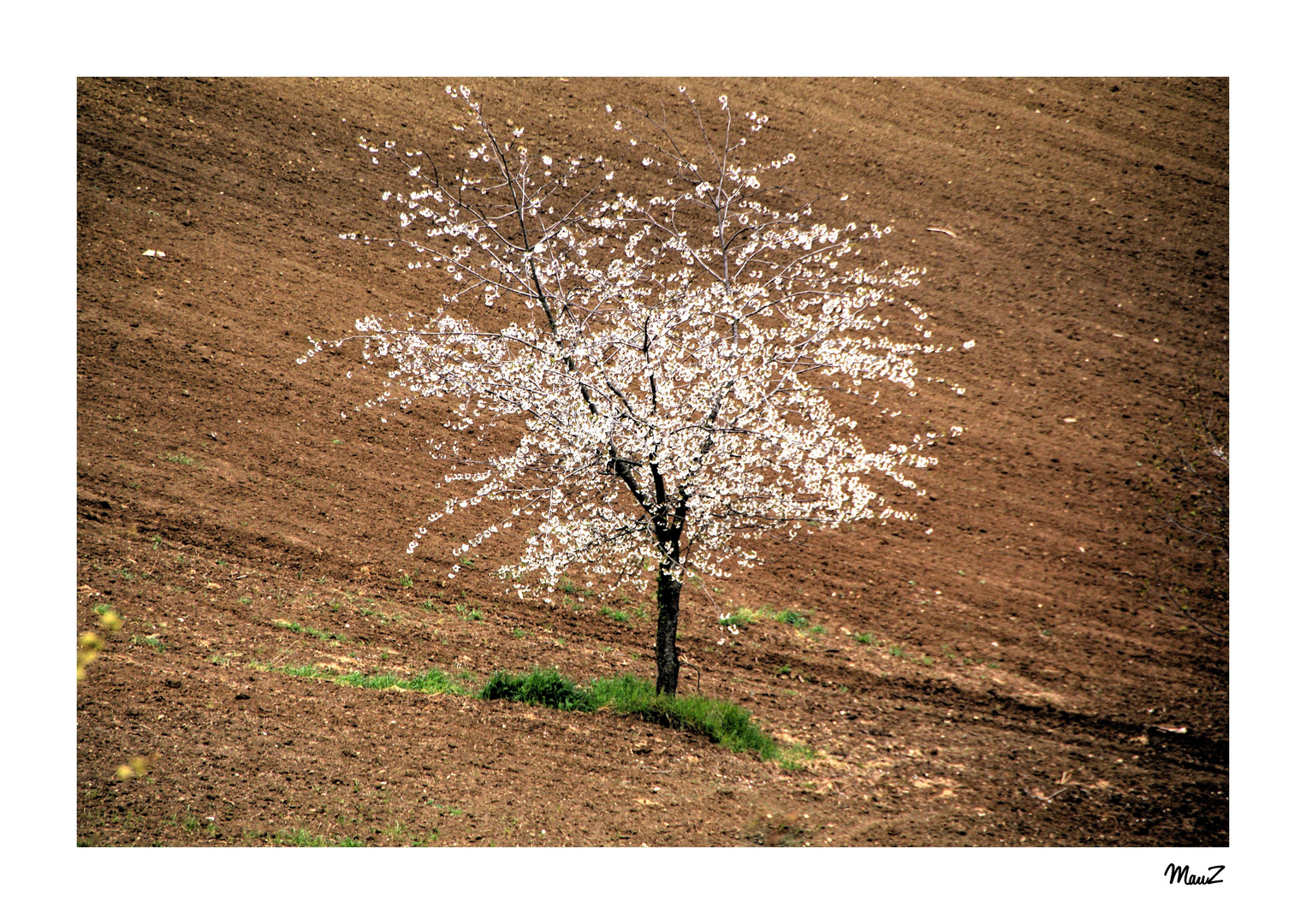 ... Bianco.......