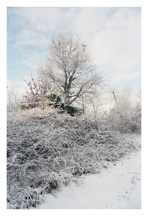 BIANCO AL MATTINO