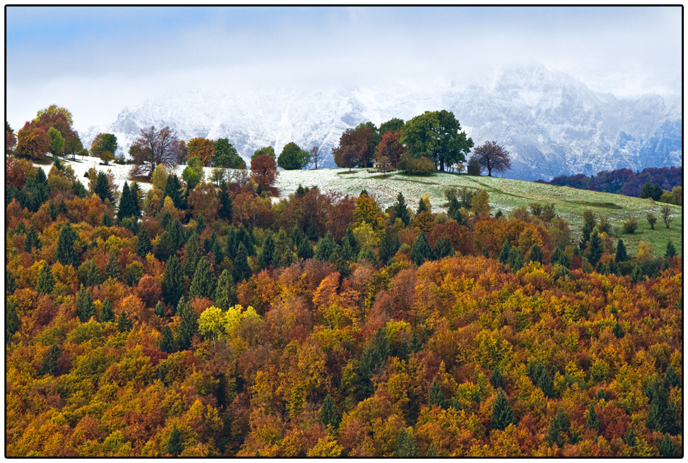 bianco autunno