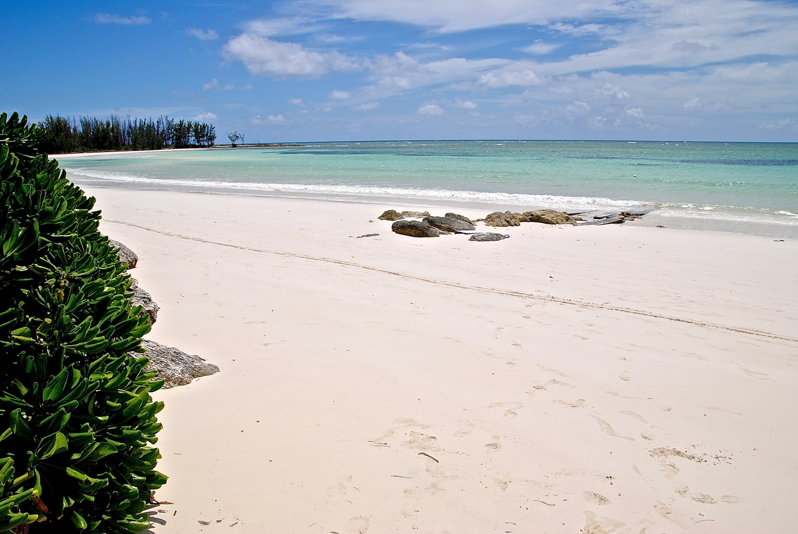 bianco caraibico