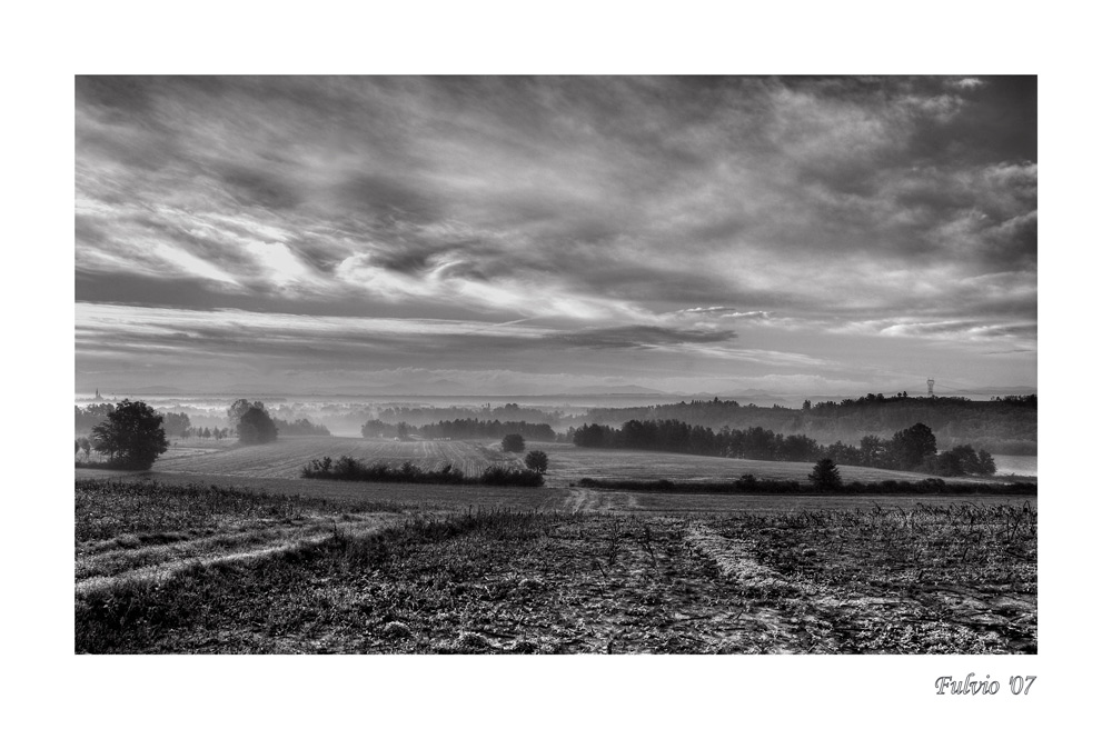 Bianco e nero d'autunno