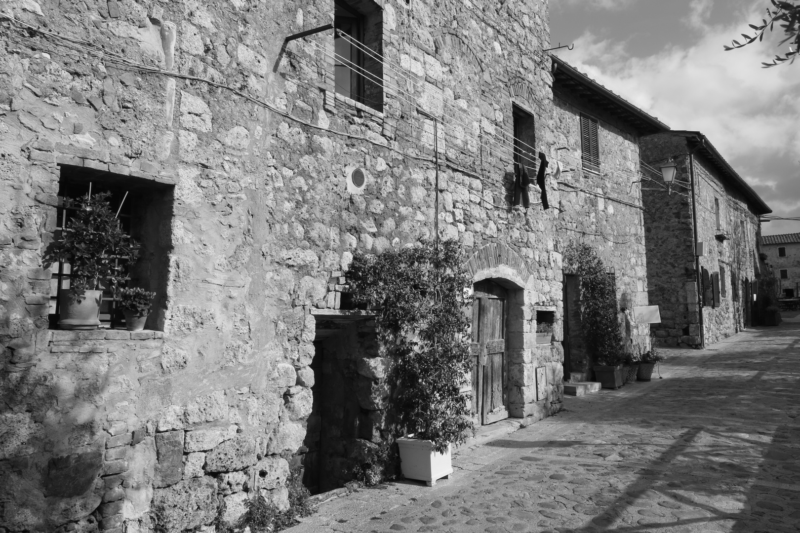 Bianco e nero Monteriggioni 