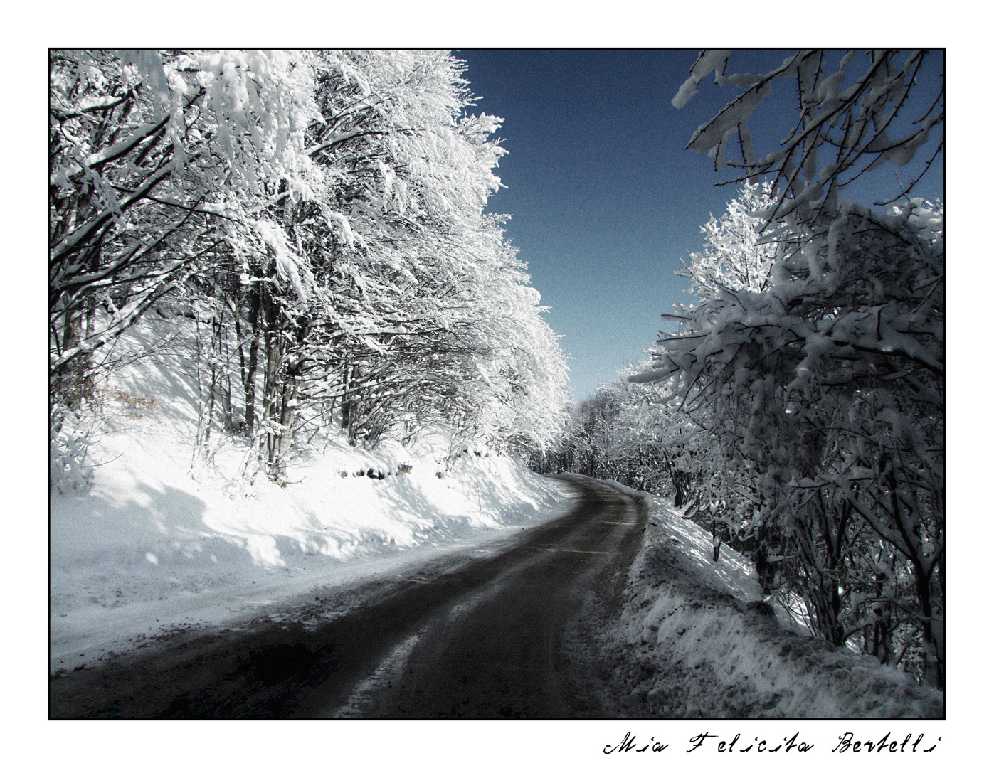 Bianco (M. Cimone)