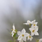 bianco nel cielo