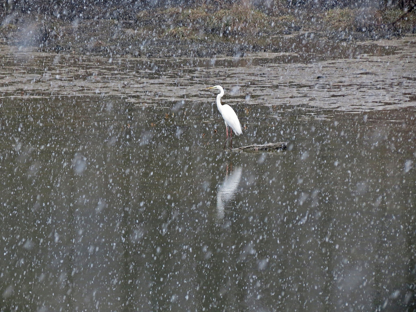 BIANCO SU BIANCO