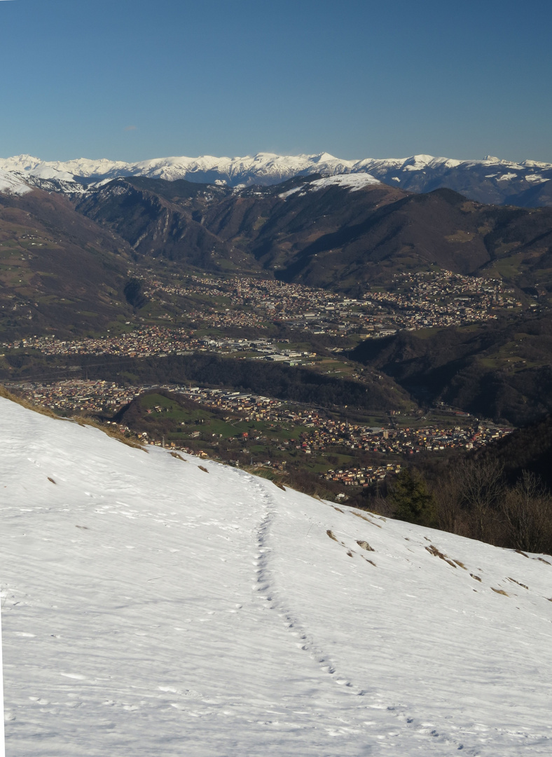 Bianco, verde e blu