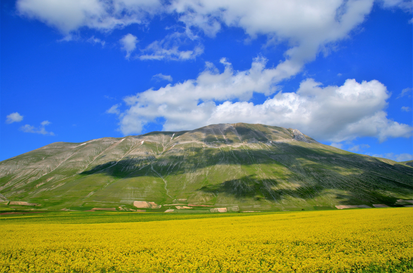 BIANCO,GIALLO,BLU.