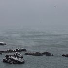 Biarritz neige: la mer fûme...