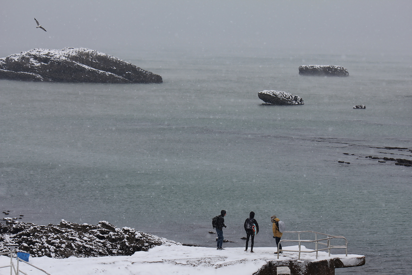 Biarritz neige : on se consulte