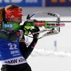 Biathlon -3-