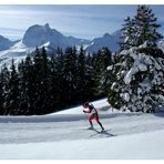 Biathlon European Cup Final _V