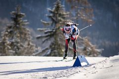 Biathlon Ruhpolding 2019 / 4