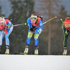 Biathlon_01