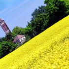 Bibelturm und Bibliothekspavillon in Wörlitz