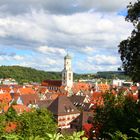 Biberach im August