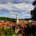 Biberach Sommer 2016