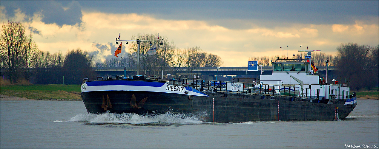 BIBERACH / Tanker / Rhein bei DÃ¼sseldorf-Kaiserswerth Foto