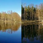 Bibersee (3D  X-view Kreuzblick stereo)