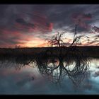 Bibersee abends