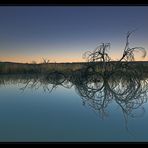 Bibersee morgens