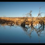 Bibersee nach Sonnenaufgang