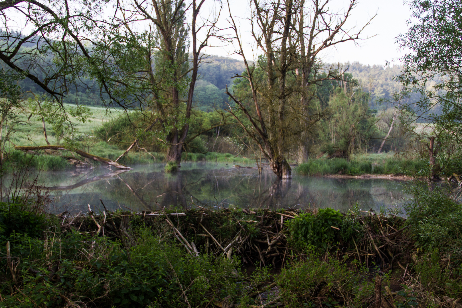 Biberstausee - Windischhausener Tal