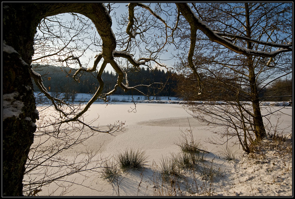 Biberteich