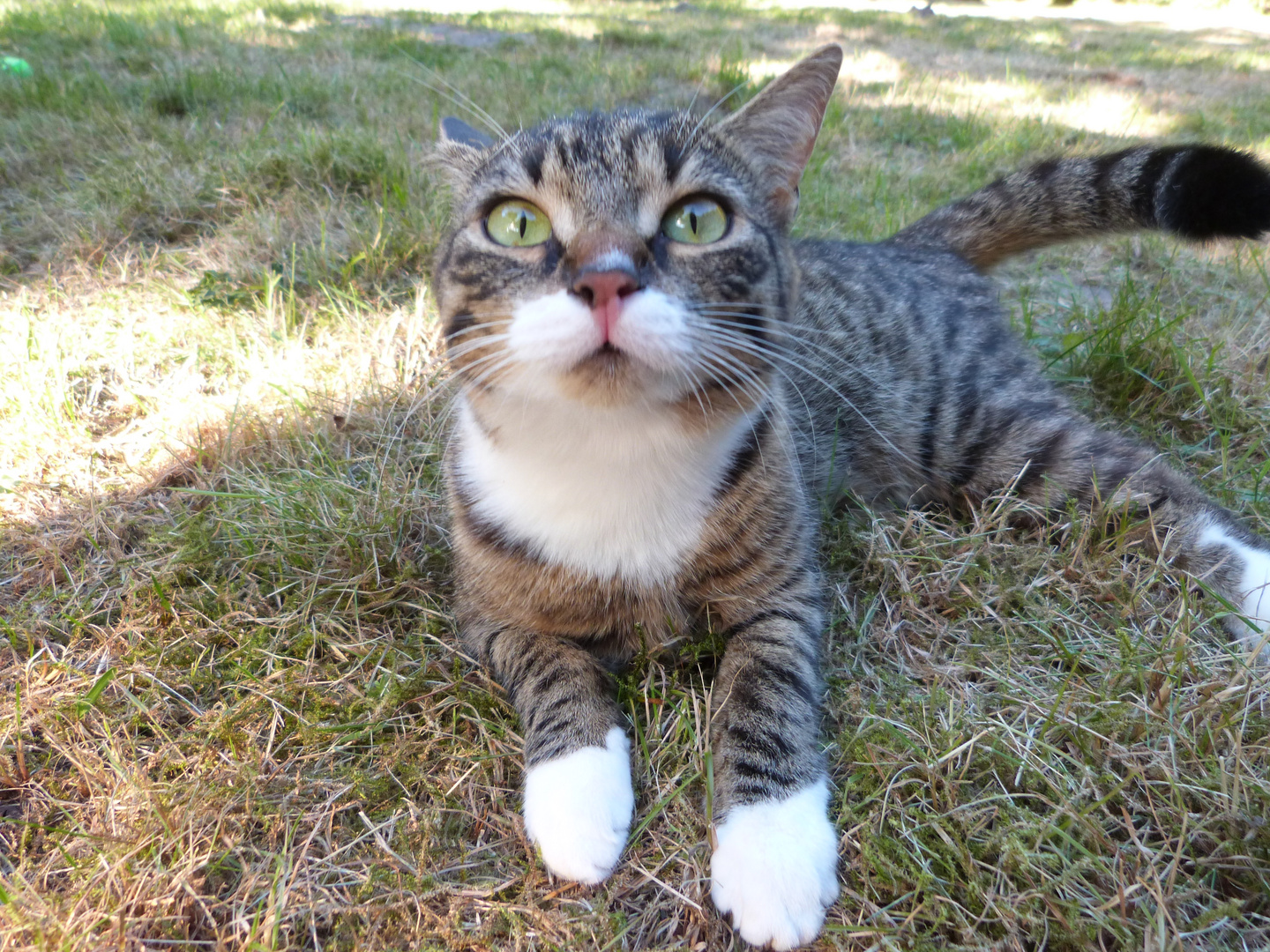 Bibi Lotta im Garten