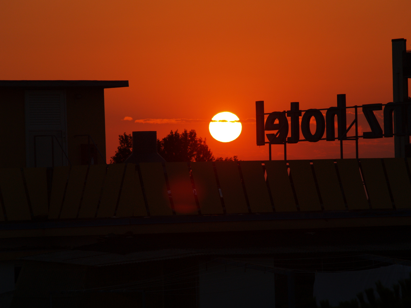 Bibione Orange