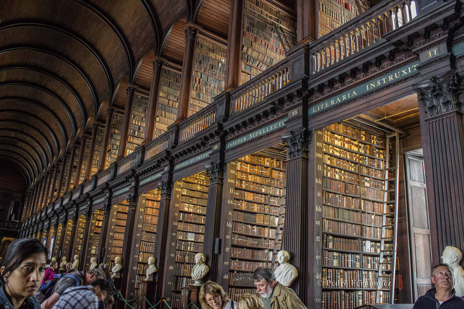 Biblioteca: El disco duro de la cultura