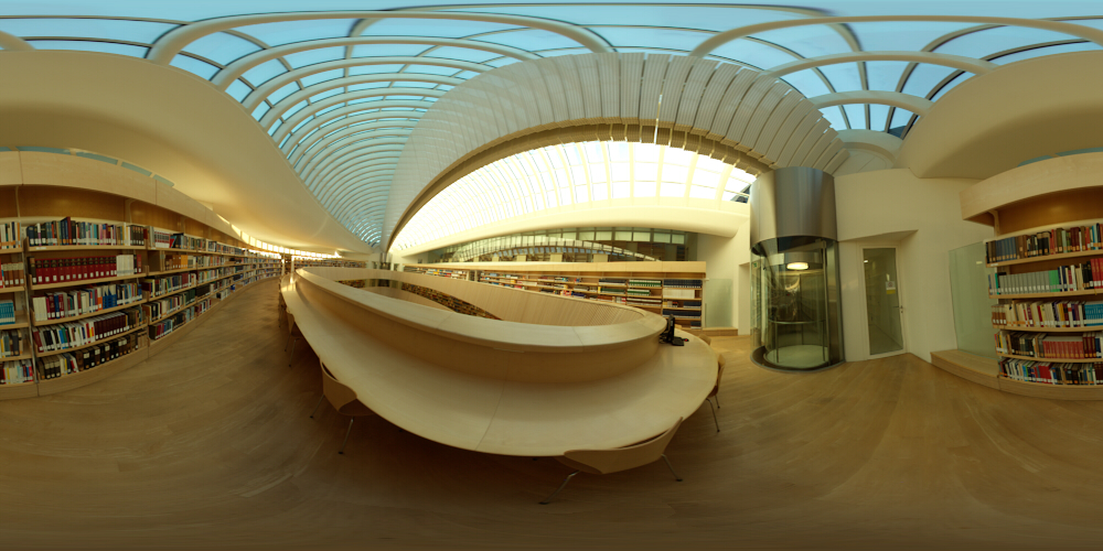 Bibliothek des Rechts-Wissenschaftlichen-Instituts Zürich (obere Etage)